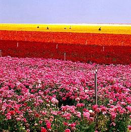 《守望先锋：归来》执行制作人：PVE还要再等等